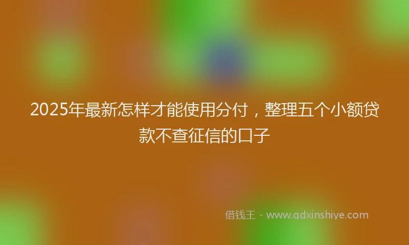 2025年最新怎样才能使用分付，整理五个小额贷款不查征信的口子