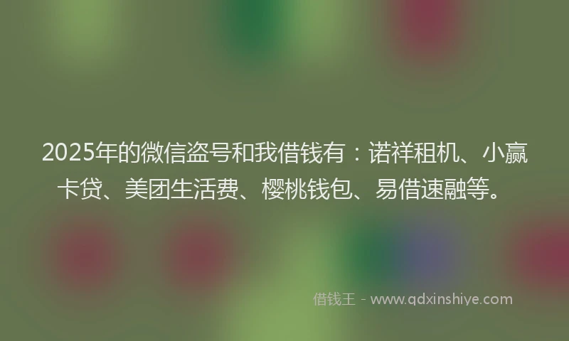2025年的微信盗号和我借钱有：诺祥租机、小赢卡贷、美团生活费、樱桃钱包、易借速融等。