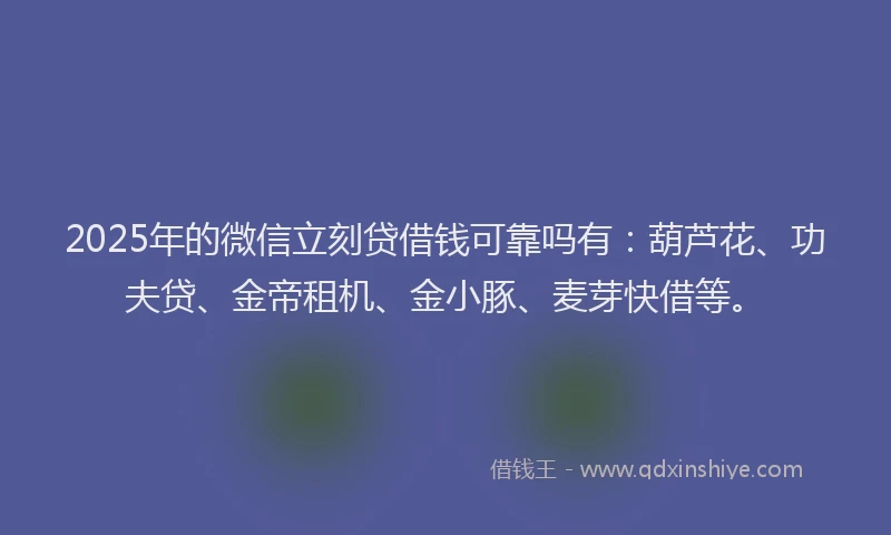 2025年的微信立刻贷借钱可靠吗有：葫芦花、功夫贷、金帝租机、金小豚、麦芽快借等。