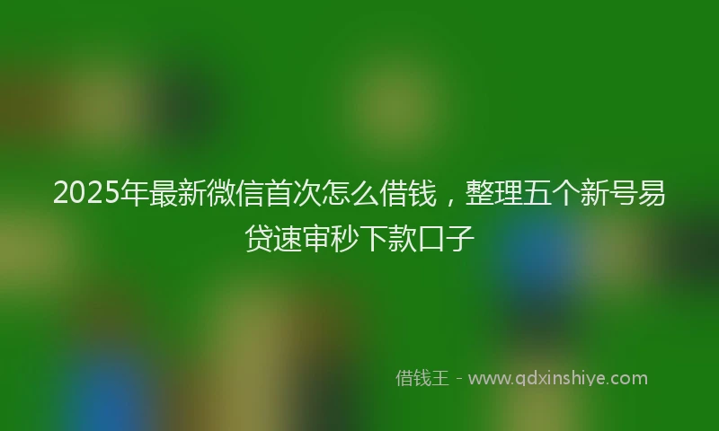 2025年最新微信首次怎么借钱，整理五个新号易贷速审秒下款口子