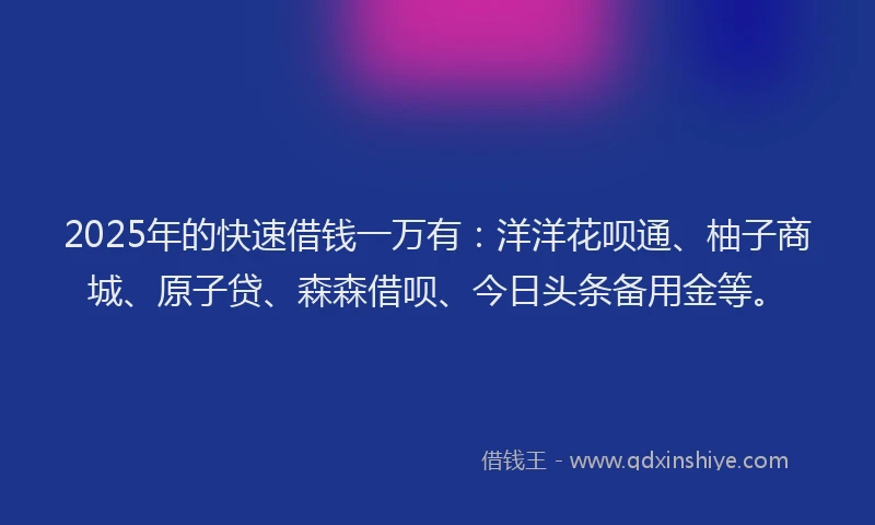 2025年的快速借钱一万有：洋洋花呗通、柚子商城、原子贷、森森借呗、今日头条备用金等。