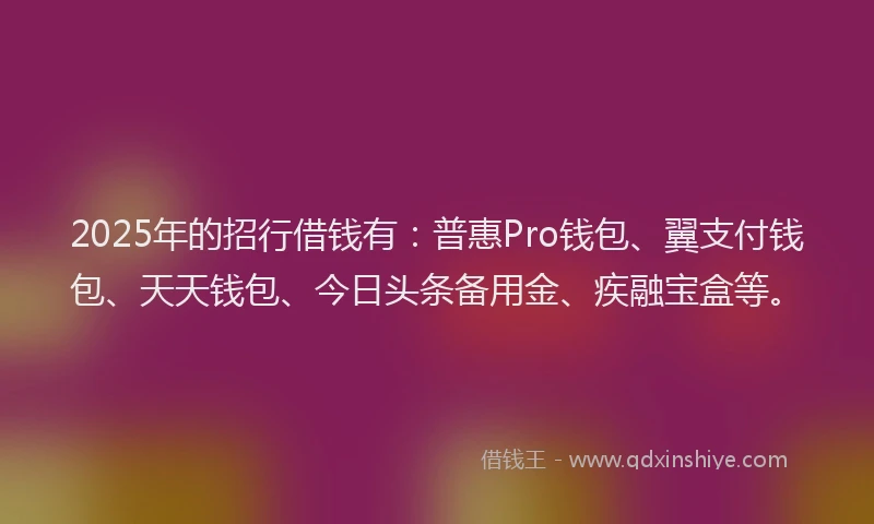 2025年的招行借钱有：普惠Pro钱包、翼支付钱包、天天钱包、今日头条备用金、疾融宝盒等。