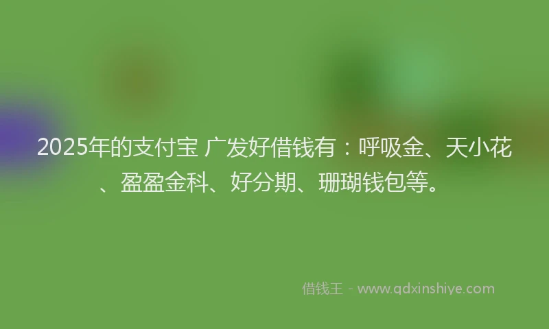 2025年的支付宝 广发好借钱有：呼吸金、天小花、盈盈金科、好分期、珊瑚钱包等。