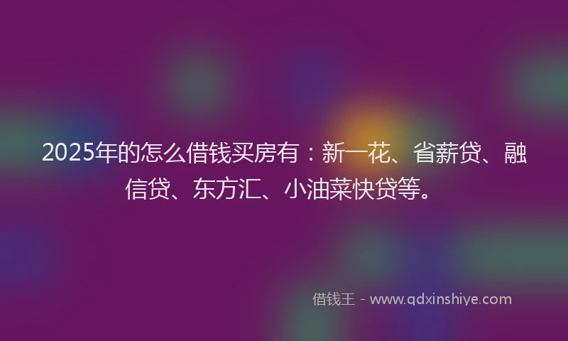 2025年的怎么借钱买房有：新一花、省薪贷、融信贷、东方汇、小油菜快贷等。