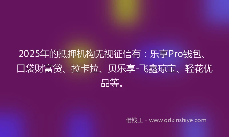 2025年的抵押机构无视征信有：乐享Pro钱包、口袋财富贷、拉卡拉、贝乐享-飞鑫琼宝、轻花优品等。