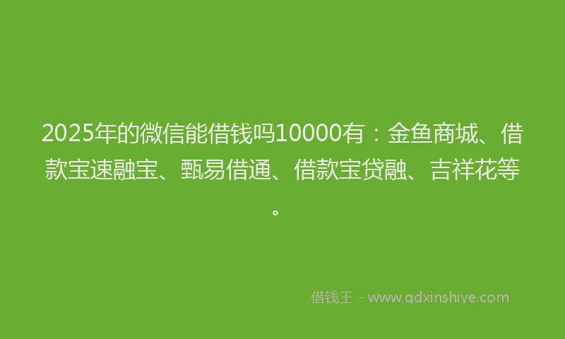 2025年的微信能借钱吗10000有：金鱼商城、借款宝速融宝、甄易借通、借款宝贷融、吉祥花等。