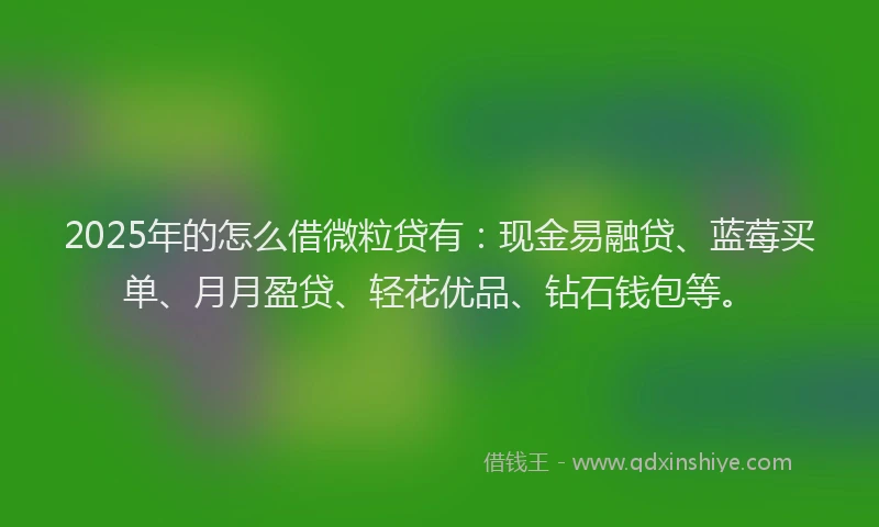 2025年的怎么借微粒贷有：现金易融贷、蓝莓买单、月月盈贷、轻花优品、钻石钱包等。