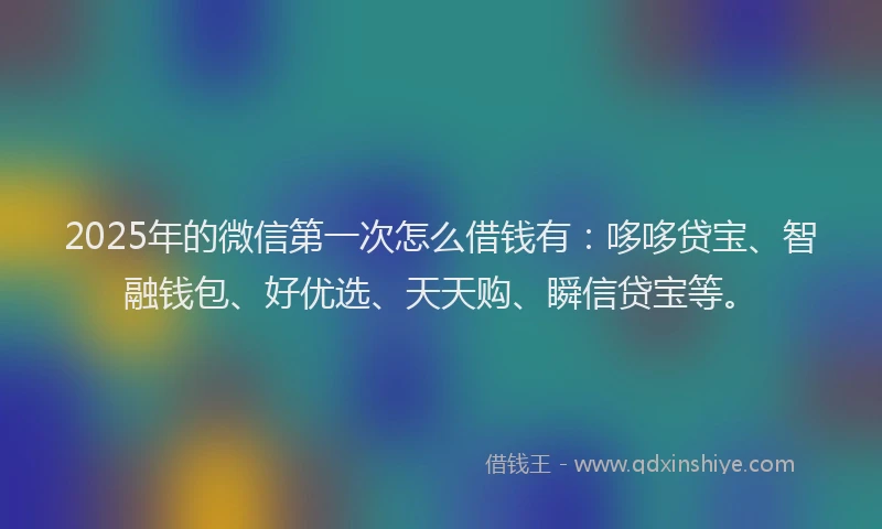 2025年的微信第一次怎么借钱有：哆哆贷宝、智融钱包、好优选、天天购、瞬信贷宝等。