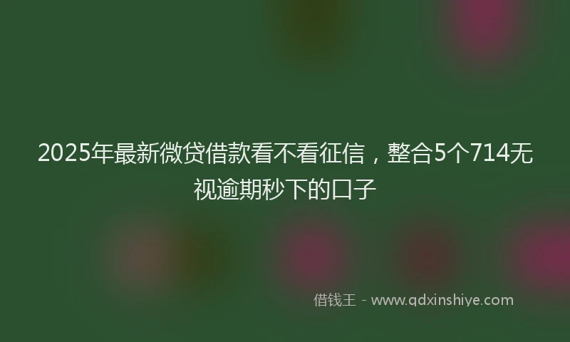 2025年最新微贷借款看不看征信，整合5个714无视逾期秒下的口子