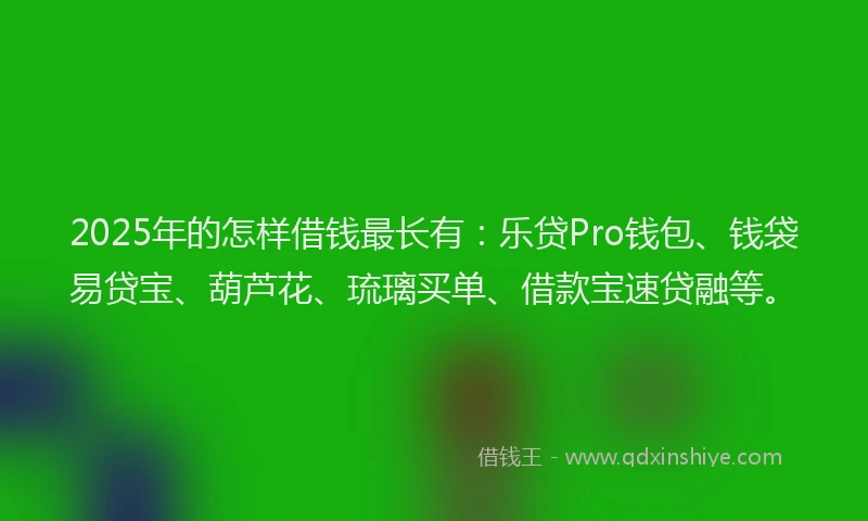 2025年的怎样借钱最长有：乐贷Pro钱包、钱袋易贷宝、葫芦花、琉璃买单、借款宝速贷融等。