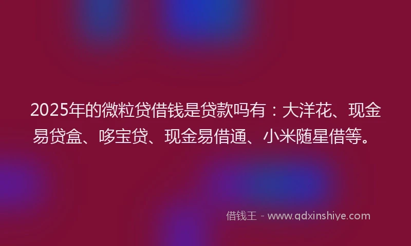 2025年的微粒贷借钱是贷款吗有：大洋花、现金易贷盒、哆宝贷、现金易借通、小米随星借等。
