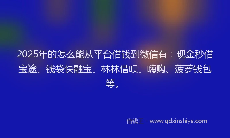 2025年的怎么能从平台借钱到微信有：现金秒借宝途、钱袋快融宝、林林借呗、嗨购、菠萝钱包等。