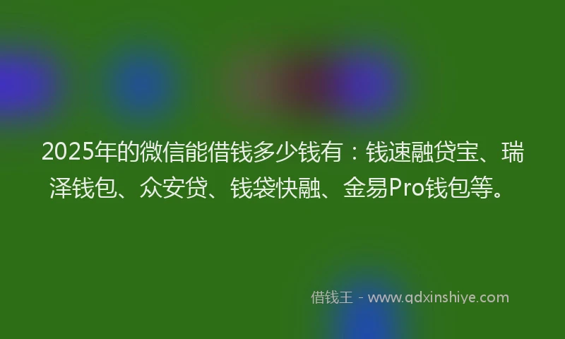 2025年的微信能借钱多少钱有：钱速融贷宝、瑞泽钱包、众安贷、钱袋快融、金易Pro钱包等。