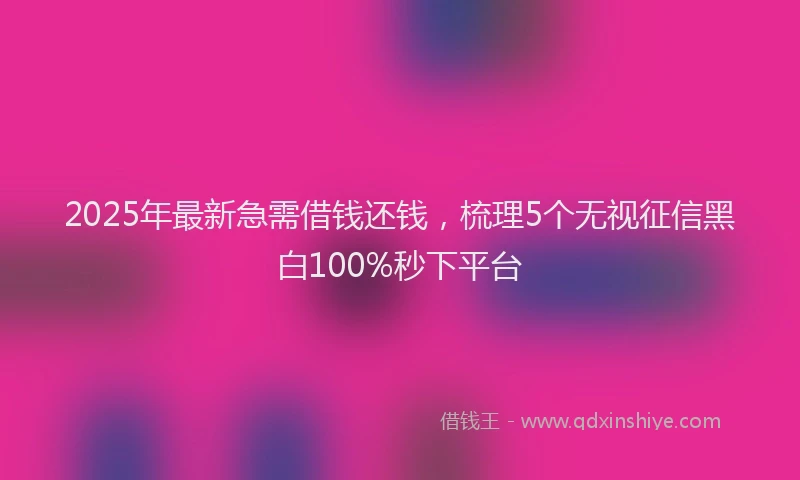 2025年最新急需借钱还钱，梳理5个无视征信黑白100%秒下平台