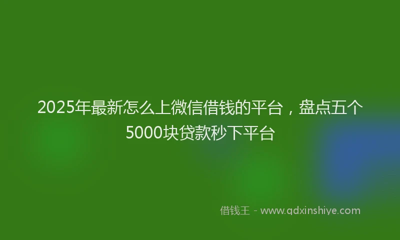 2025年最新怎么上微信借钱的平台，盘点五个5000块贷款秒下平台