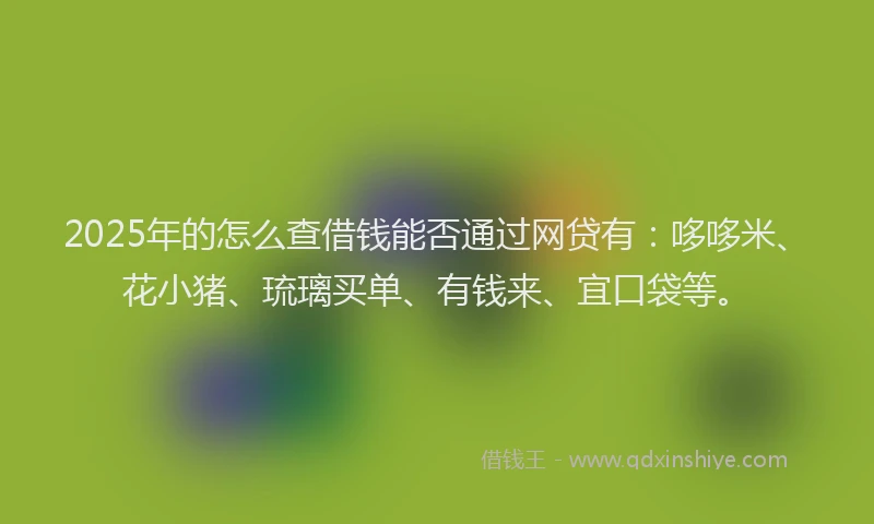 2025年的怎么查借钱能否通过网贷有：哆哆米、花小猪、琉璃买单、有钱来、宜口袋等。