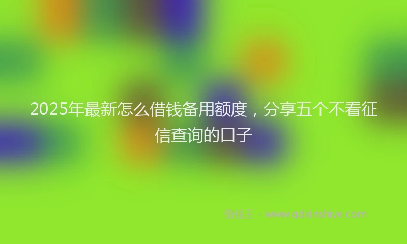 2025年最新怎么借钱备用额度，分享五个不看征信查询的口子