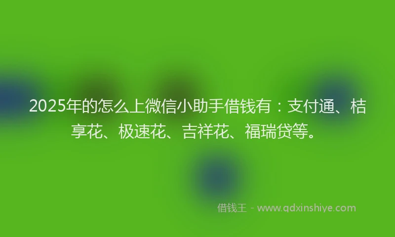 2025年的怎么上微信小助手借钱有：支付通、桔享花、极速花、吉祥花、福瑞贷等。