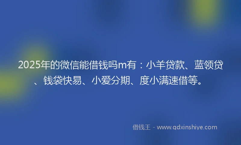 2025年的微信能借钱吗m有：小羊贷款、蓝领贷、钱袋快易、小爱分期、度小满速借等。