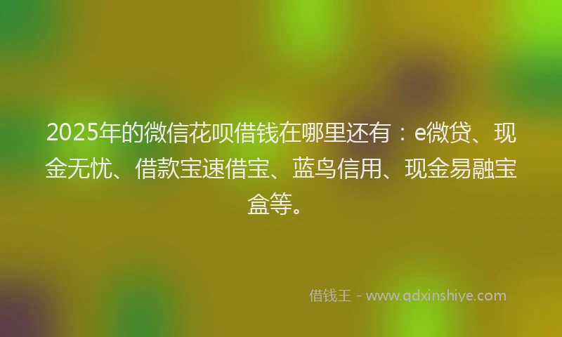 2025年的微信花呗借钱在哪里还有：e微贷、现金无忧、借款宝速借宝、蓝鸟信用、现金易融宝盒等。