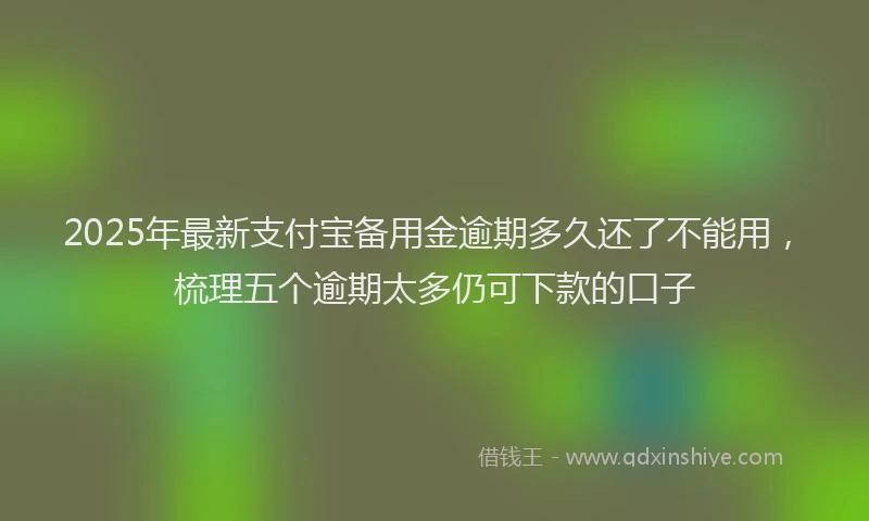 2025年最新支付宝备用金逾期多久还了不能用，梳理五个逾期太多仍可下款的口子
