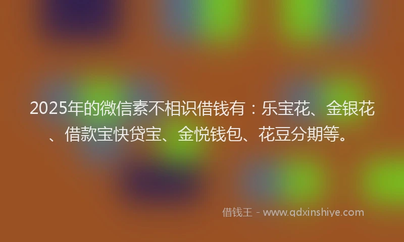 2025年的微信素不相识借钱有：乐宝花、金银花、借款宝快贷宝、金悦钱包、花豆分期等。