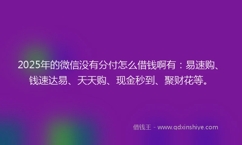 2025年的微信没有分付怎么借钱啊有：易速购、钱速达易、天天购、现金秒到、聚财花等。