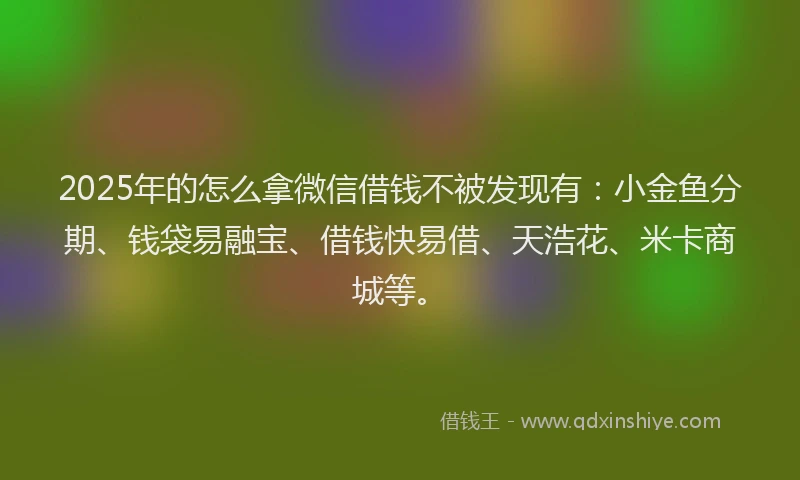 2025年的怎么拿微信借钱不被发现有：小金鱼分期、钱袋易融宝、借钱快易借、天浩花、米卡商城等。