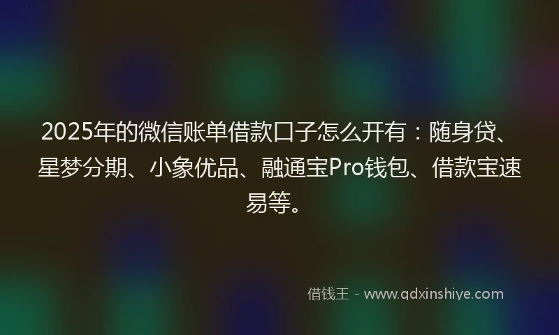 2025年的微信账单借款口子怎么开有：随身贷、星梦分期、小象优品、融通宝Pro钱包、借款宝速易等。