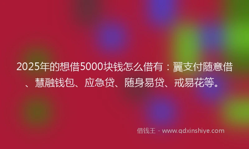 2025年的想借5000块钱怎么借有：翼支付随意借、慧融钱包、应急贷、随身易贷、戒易花等。