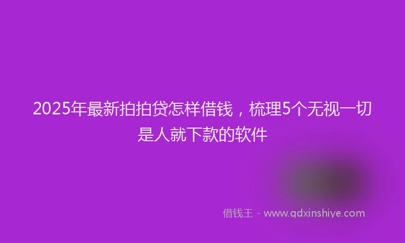 2025年最新拍拍贷怎样借钱，梳理5个无视一切是人就下款的软件