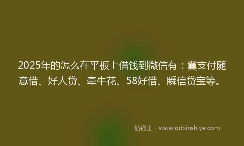 2025年的怎么在平板上借钱到微信有：翼支付随意借、好人贷、牵牛花、58好借、瞬信贷宝等。