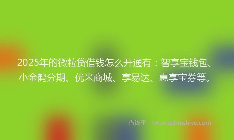 2025年的微粒贷借钱怎么开通有：智享宝钱包、小金鹤分期、优米商城、享易达、惠享宝券等。