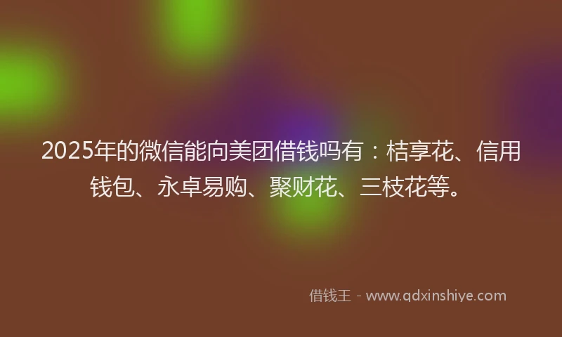 2025年的微信能向美团借钱吗有：桔享花、信用钱包、永卓易购、聚财花、三枝花等。