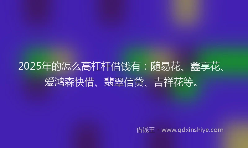2025年的怎么高杠杆借钱有：随易花、鑫享花、爱鸿森快借、翡翠信贷、吉祥花等。