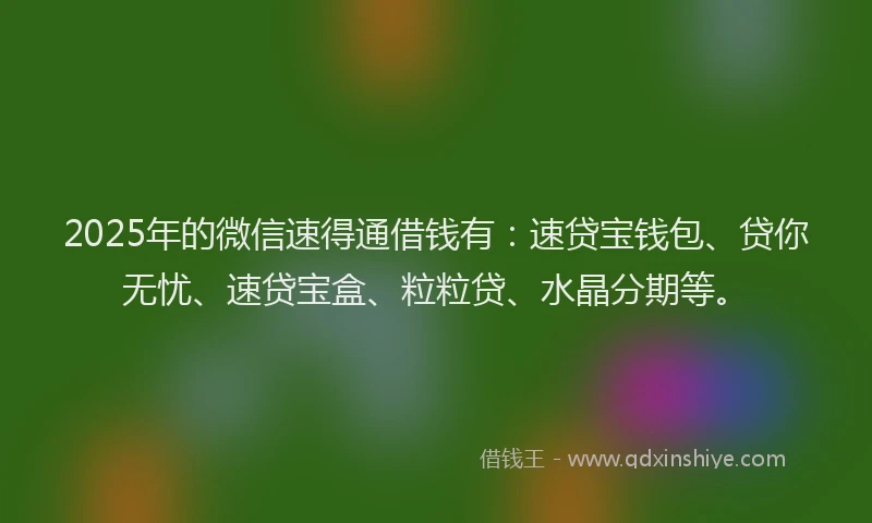 2025年的微信速得通借钱有：速贷宝钱包、贷你无忧、速贷宝盒、粒粒贷、水晶分期等。