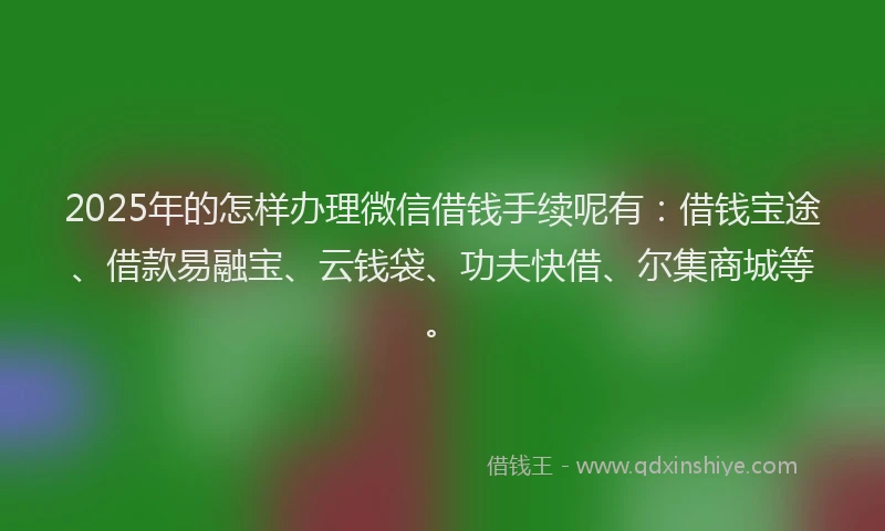 2025年的怎样办理微信借钱手续呢有：借钱宝途、借款易融宝、云钱袋、功夫快借、尔集商城等。