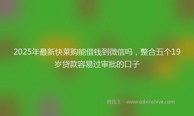 2025年最新快莱购能借钱到微信吗，整合五个19岁贷款容易过审批的口子