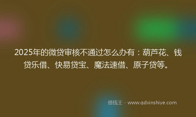 2025年的微贷审核不通过怎么办有：葫芦花、钱贷乐借、快易贷宝、魔法速借、原子贷等。