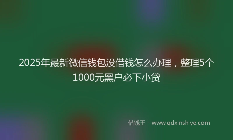2025年最新微信钱包没借钱怎么办理，整理5个1000元黑户必下小贷