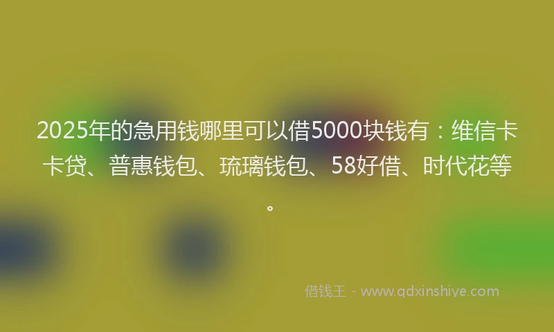 2025年的急用钱哪里可以借5000块钱有：维信卡卡贷、普惠钱包、琉璃钱包、58好借、时代花等。