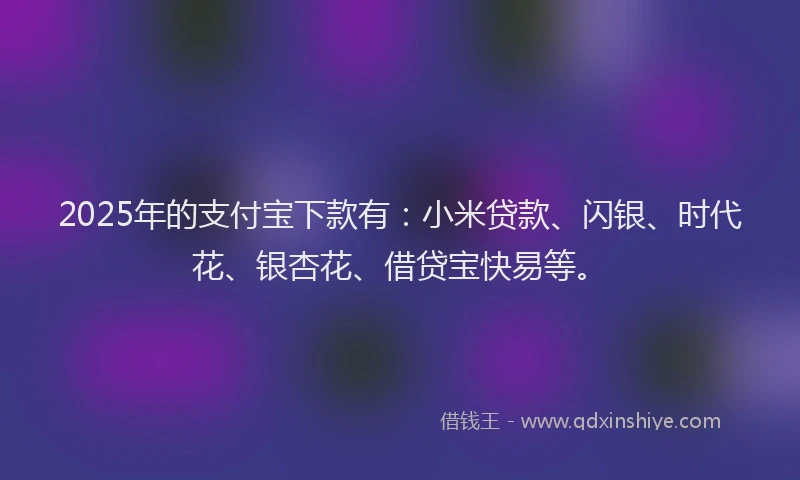 2025年的支付宝下款有：小米贷款、闪银、时代花、银杏花、借贷宝快易等。
