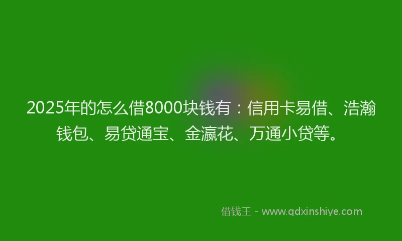 2025年的怎么借8000块钱有：信用卡易借、浩瀚钱包、易贷通宝、金瀛花、万通小贷等。