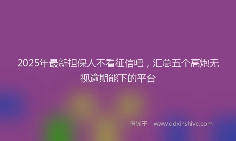 2025年最新担保人不看征信吧，汇总五个高炮无视逾期能下的平台