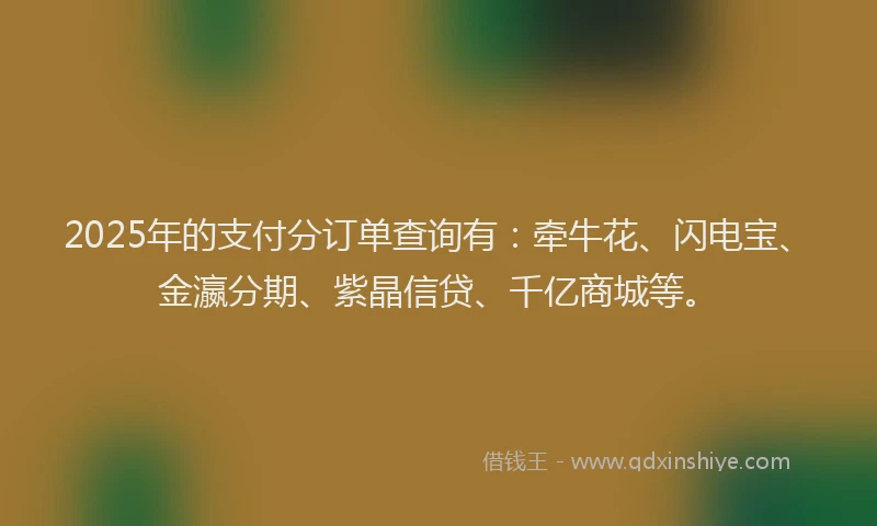 2025年的支付分订单查询有：牵牛花、闪电宝、金瀛分期、紫晶信贷、千亿商城等。
