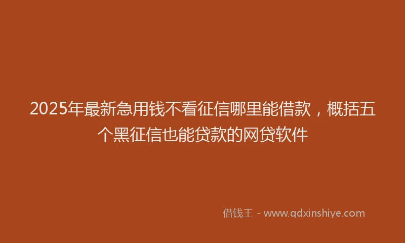 2025年最新急用钱不看征信哪里能借款，概括五个黑征信也能贷款的网贷软件