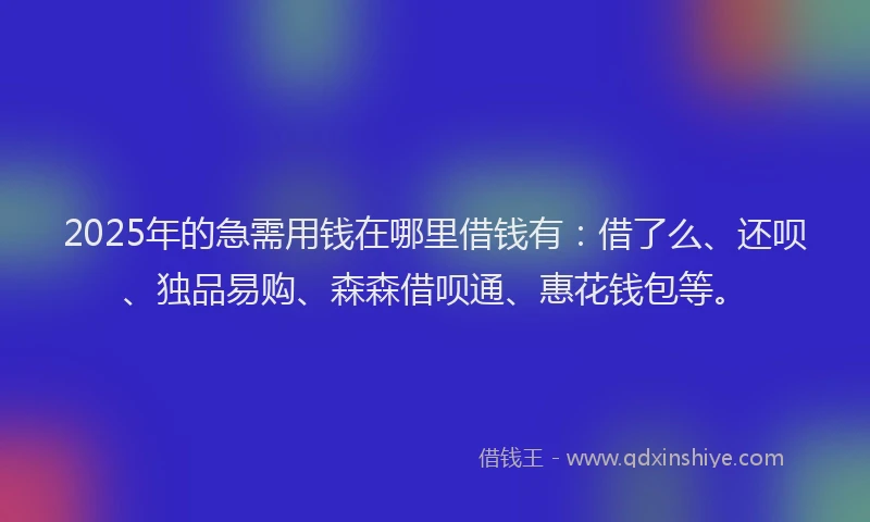 2025年的急需用钱在哪里借钱有：借了么、还呗、独品易购、森森借呗通、惠花钱包等。
