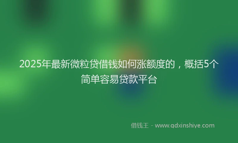 2025年最新微粒贷借钱如何涨额度的，概括5个简单容易贷款平台