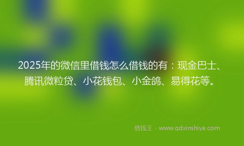 2025年的微信里借钱怎么借钱的有：现金巴士、腾讯微粒贷、小花钱包、小金鸽、易得花等。