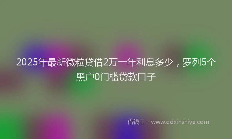 2025年最新微粒贷借2万一年利息多少，罗列5个黑户0门槛贷款口子